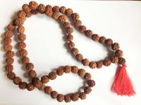 Mala rudraksha L