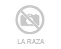 Hati- hati Angyal 15 cm Öröm